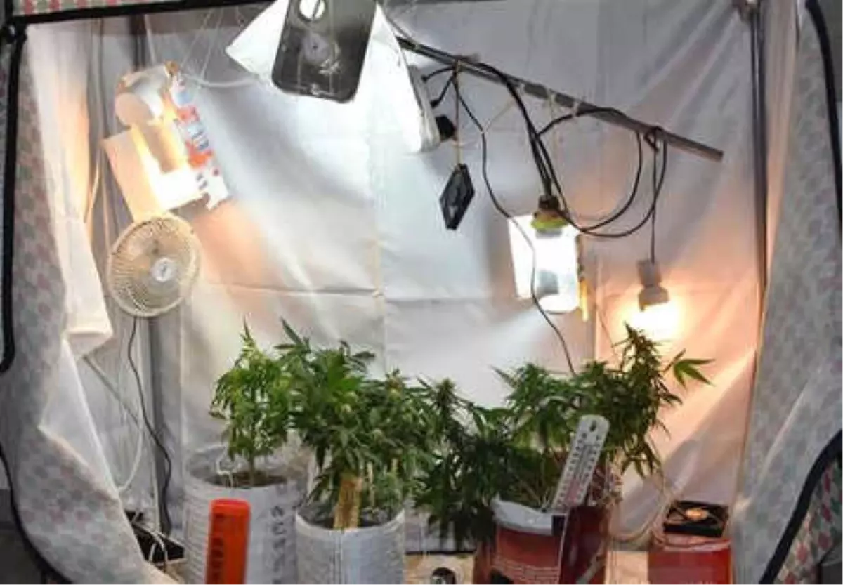 Üniversiteliler, Elbise Dolabını Uyuşturucu İmalathanesine Çevirmiş