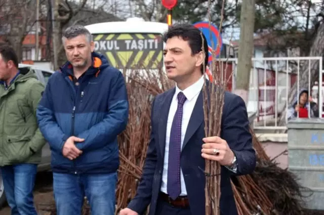 Trabzon Hurması, Kivi ile Yarışacak