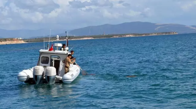 Didim'de Yaralı Caretta Ceretta Seferberliği