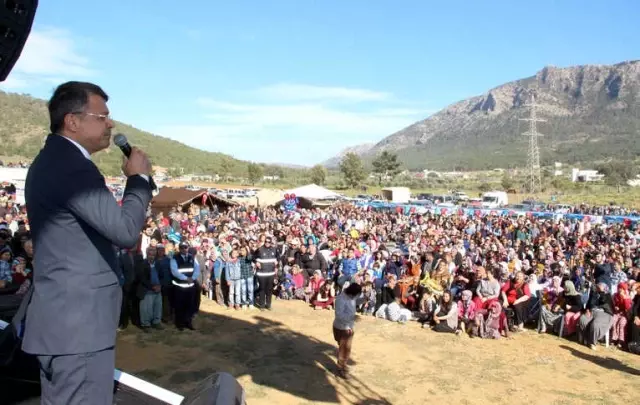 Silifke'de Çağla Festivali ve Kültür Şenlikleri