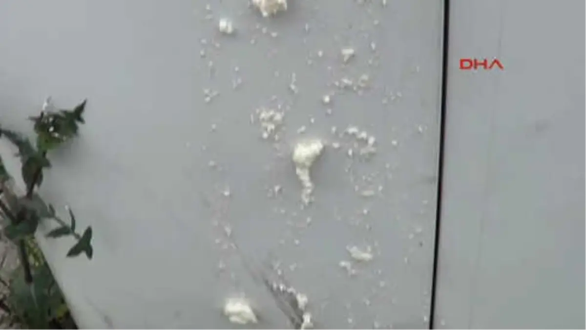 Zonguldak Alarma Köpük Sıkıp, Atm'yi Soymaya Çalıştılar