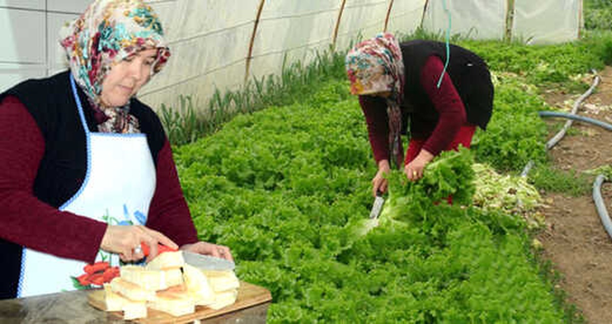 Eşine İnat Lokanta Açan Yaşlı Kadın, Şimdi 5 Kişiye İş İmkanı Sağlıyor