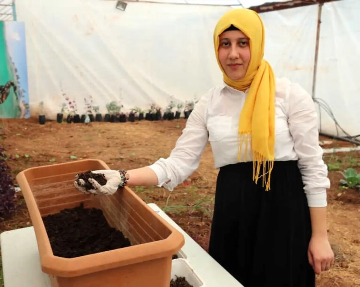 Girişimcilerin Gözdesi 'Solucan Gübresi'