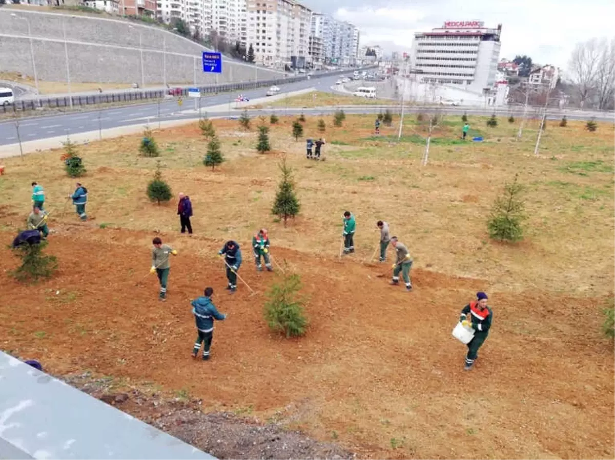 Trabzon'un Güzelleşmesi İçin 114 Bin 307 Ağaç Dikildi