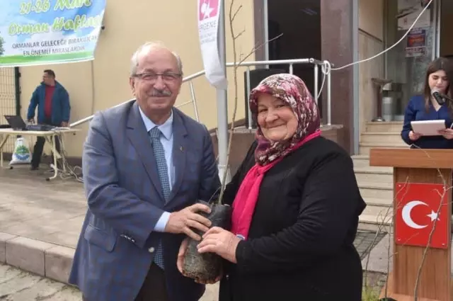 258 Ev Hanımına Ihlamur Fidanı Dağıtıldı