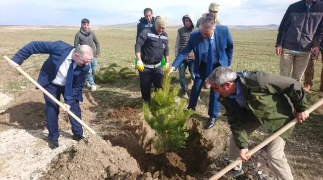 Başkan Özgökçe'den 'Dünya Ormancılık Günü' Mesajı Başkan Özgökçe'den 'Dünya Ormancılık Günü' Mesajı