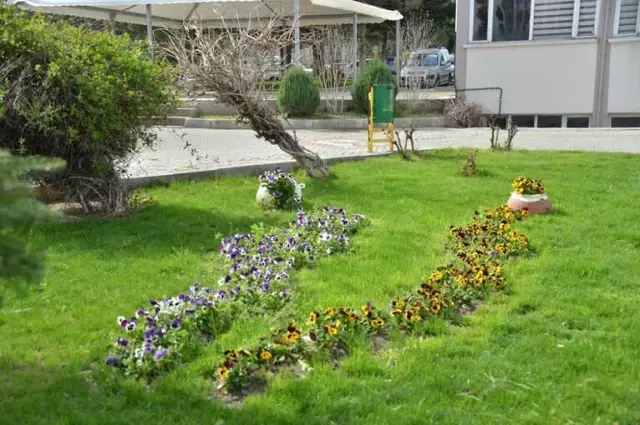 Gediz Belediyesi'nin Yeşil Alanların Bakımı ve Çiçeklendirilmesi Çalışmaları Gediz Belediyesi'nin Yeşil Alanların Bakımı ve Çiçeklendirilmesi Çalışmaları