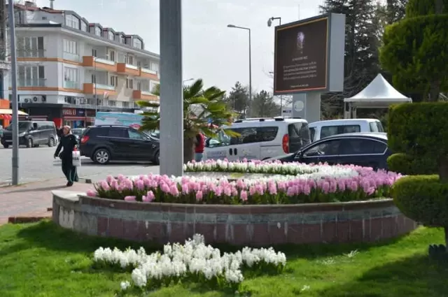 Gediz Belediyesi'nin Yeşil Alanların Bakımı ve Çiçeklendirilmesi Çalışmaları Gediz Belediyesi'nin Yeşil Alanların Bakımı ve Çiçeklendirilmesi Çalışmaları