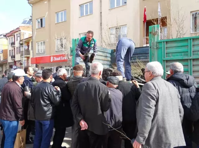Halka 2 Bin 500 Ücretsiz Fidan Dağıtıldı