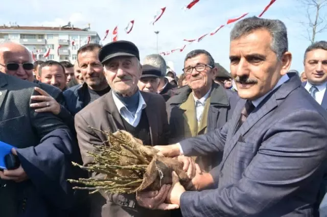 Yakakent'te 15 Bin Ceviz Fidanı Dağıtıldı