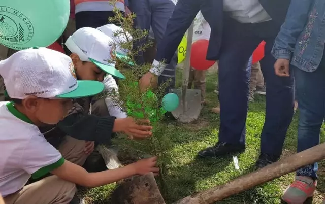 Hisarcık Köy Okulunda Fidan Dikme Şenliği