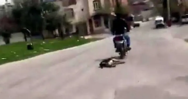 Motosikletin Arkasına Bağladığı Köpeği Metrelerce Sürükledi! O Anlar Anbean Kamerada