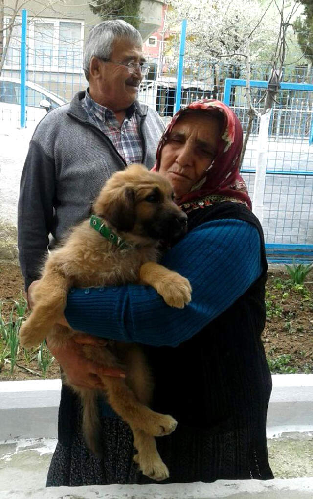 Sosyal Medyada Fenomen Olmuştu! Hatice Teyze'nin Küçük Köpeği ve Keçisi Sağlık Taramasından Geçti
