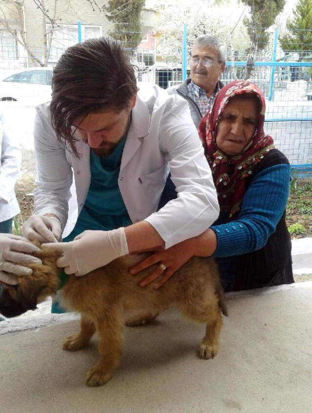 Sosyal Medyada Fenomen Olmuştu! Hatice Teyze'nin Küçük Köpeği ve Keçisi Sağlık Taramasından Geçti