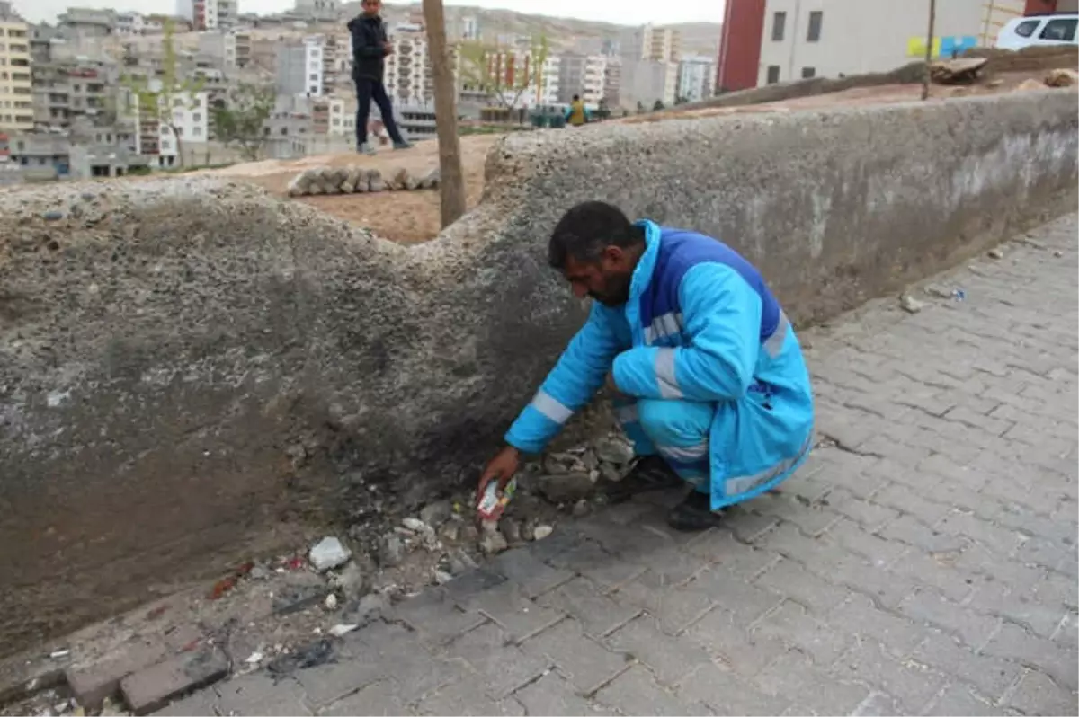 Temizlik İşçisi Okul Yoluna Tuzaklanmış Bomba Buldu
