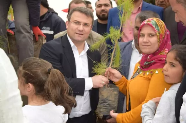 Yüzlerce Çocuk Şehit Arkadaşları İçin Uçurtma Uçurdu Yüzlerce Çocuk Şehit Arkadaşları İçin Uçurtma Uçurdu