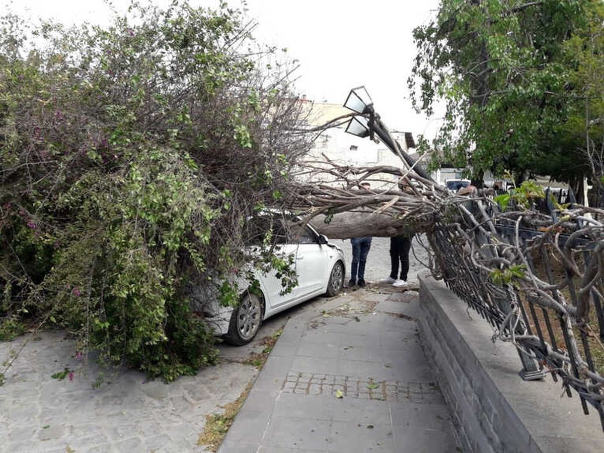 Tarsus'ta Fırtına Etkili Oldu