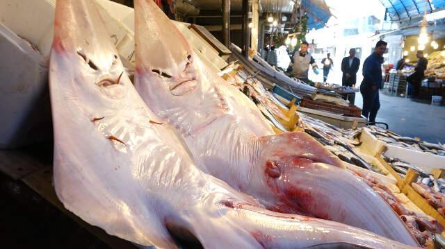 Balıkçının Ağına Takılan İnsan Yüzlü Balıklar Görenleri Hayrete Düşürdü