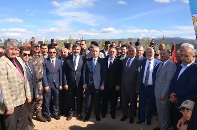 Bulanık'ta 15 Temmuz Şehitleri Anısına Fidan Dikildi Bulanık'ta 15 Temmuz Şehitleri Anısına Fidan Dikildi