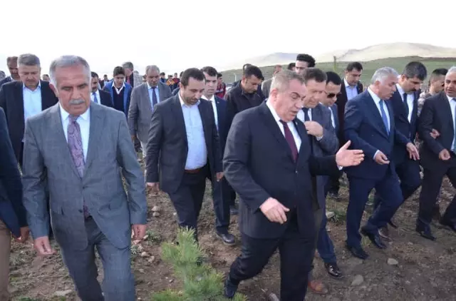 Bulanık'ta 15 Temmuz Şehitleri Anısına Fidan Dikildi Bulanık'ta 15 Temmuz Şehitleri Anısına Fidan Dikildi