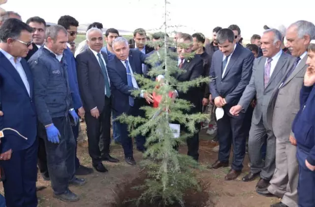Bulanık'ta 15 Temmuz Şehitleri Anısına Fidan Dikildi Bulanık'ta 15 Temmuz Şehitleri Anısına Fidan Dikildi