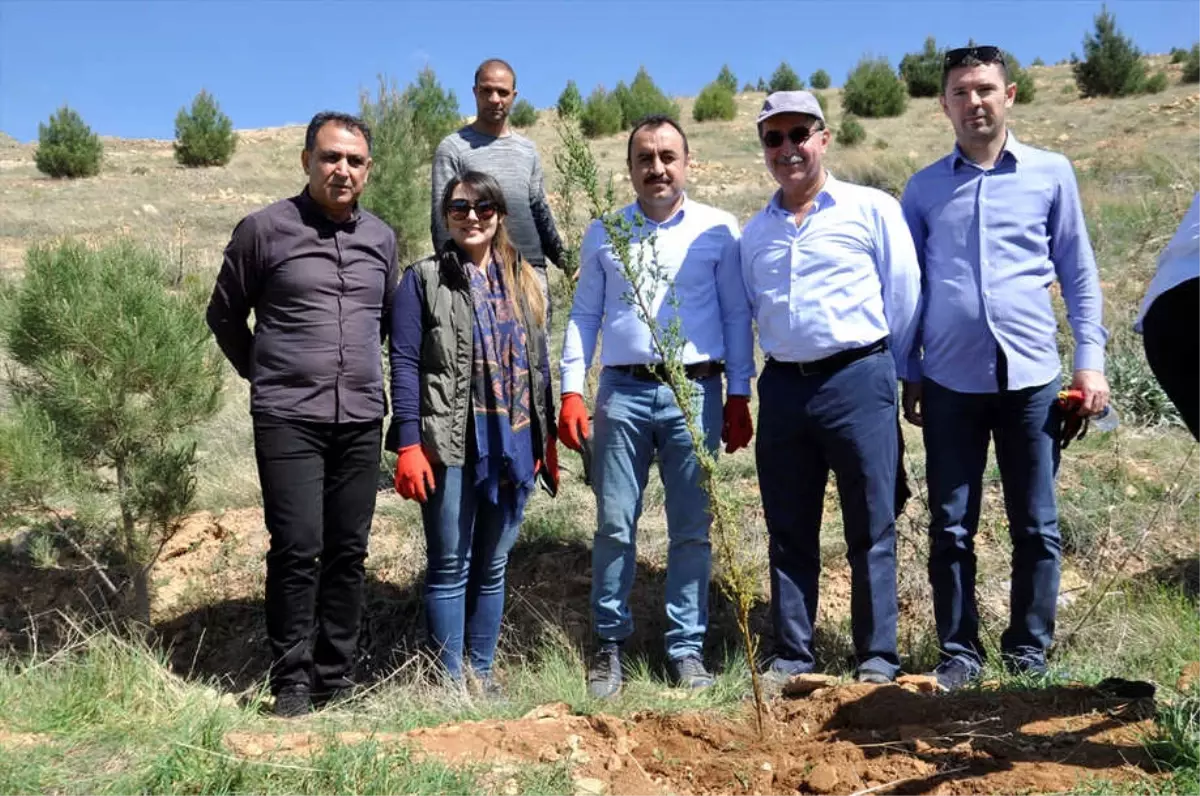 Mardin Barosundan Hatıra Ormanı