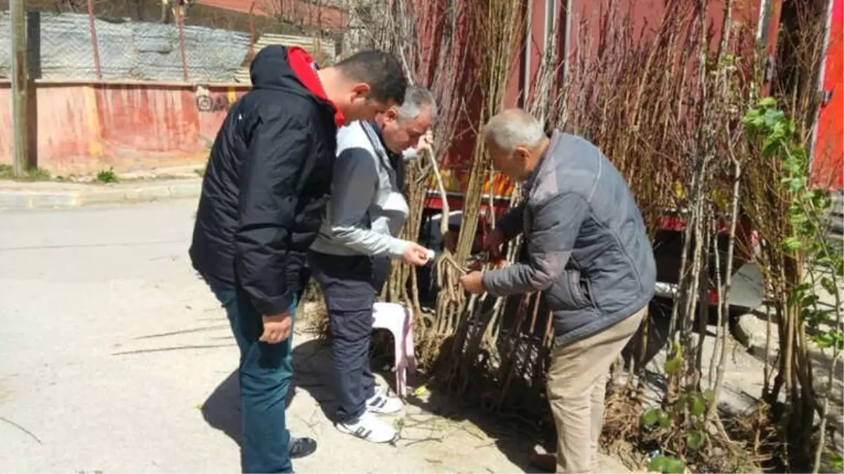 Bayburt Ta Fide Fidan Ve Sus Bitkileri Satis Yeri Denetimleri Yapildi Haberler