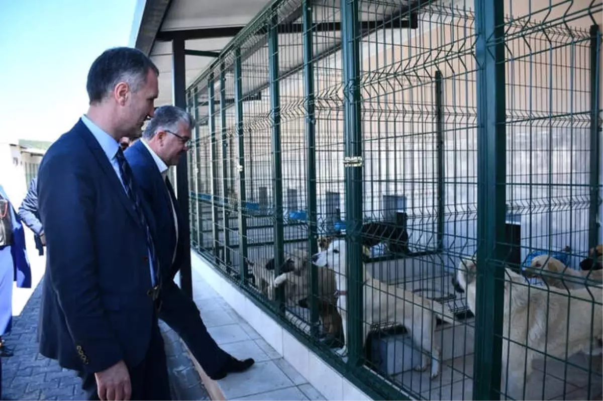 Bursa'ya Örnek Hayvan Bakım Merkezi