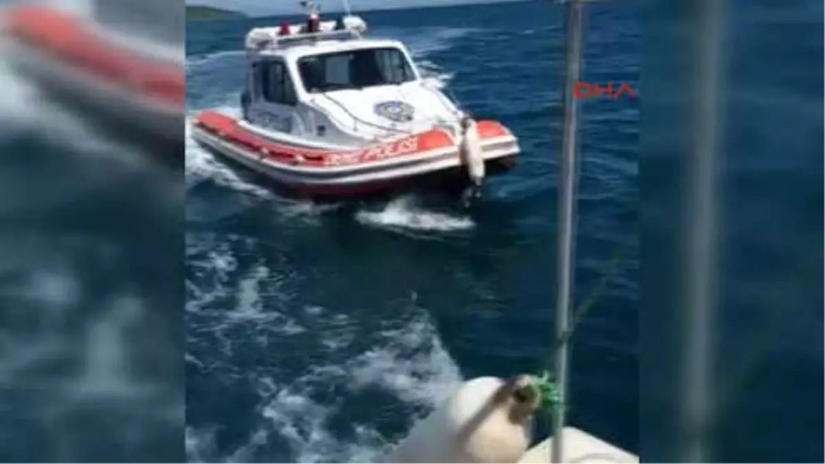 İzmir Urla'da Deniz Patlıcanı Operasyonu