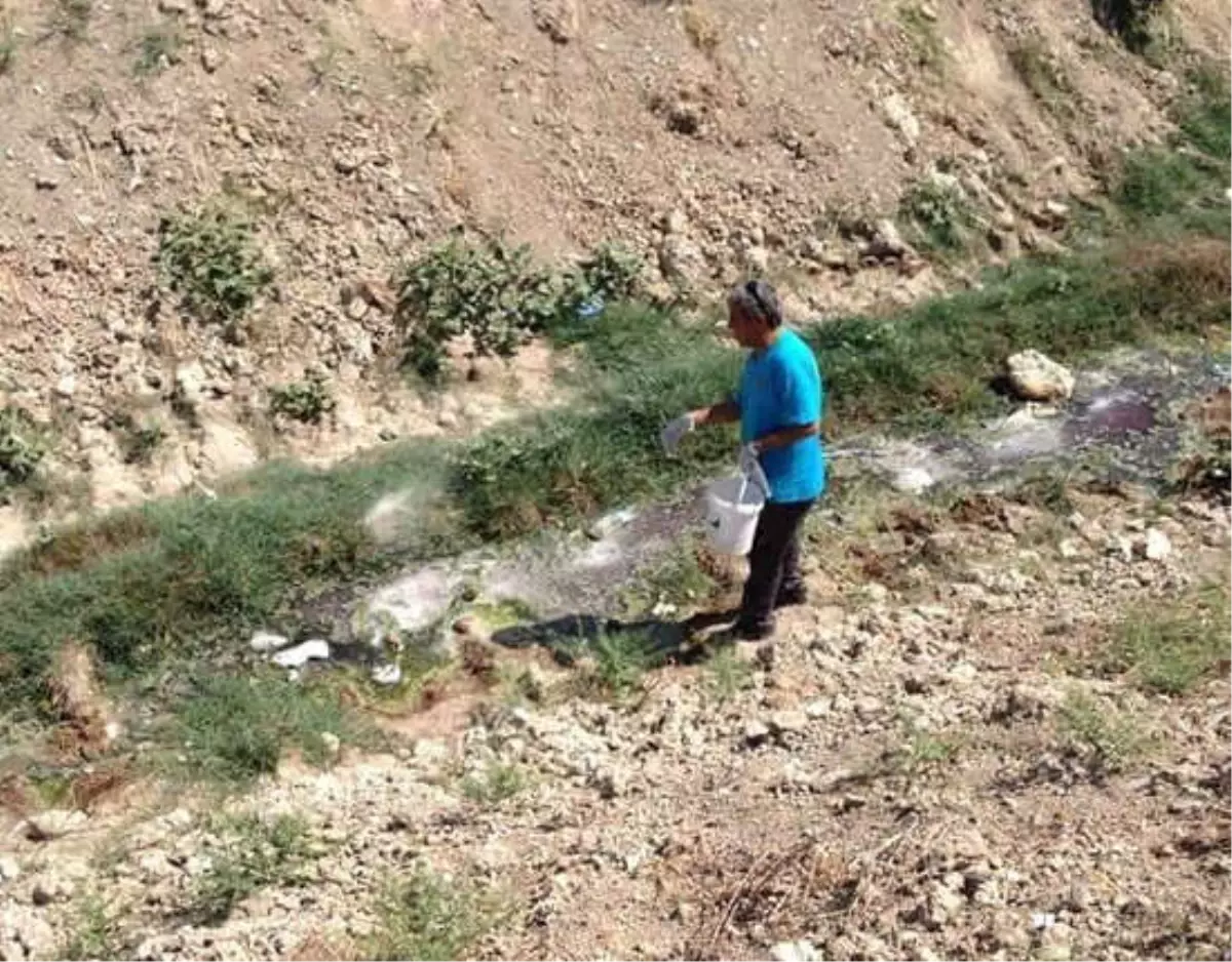 Kahta'da Haşere ile Mücadele Başladı