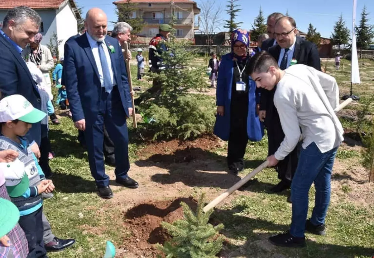 Öğrencilerden Zeytin Dalı'na Özel Hatıra Ormanı