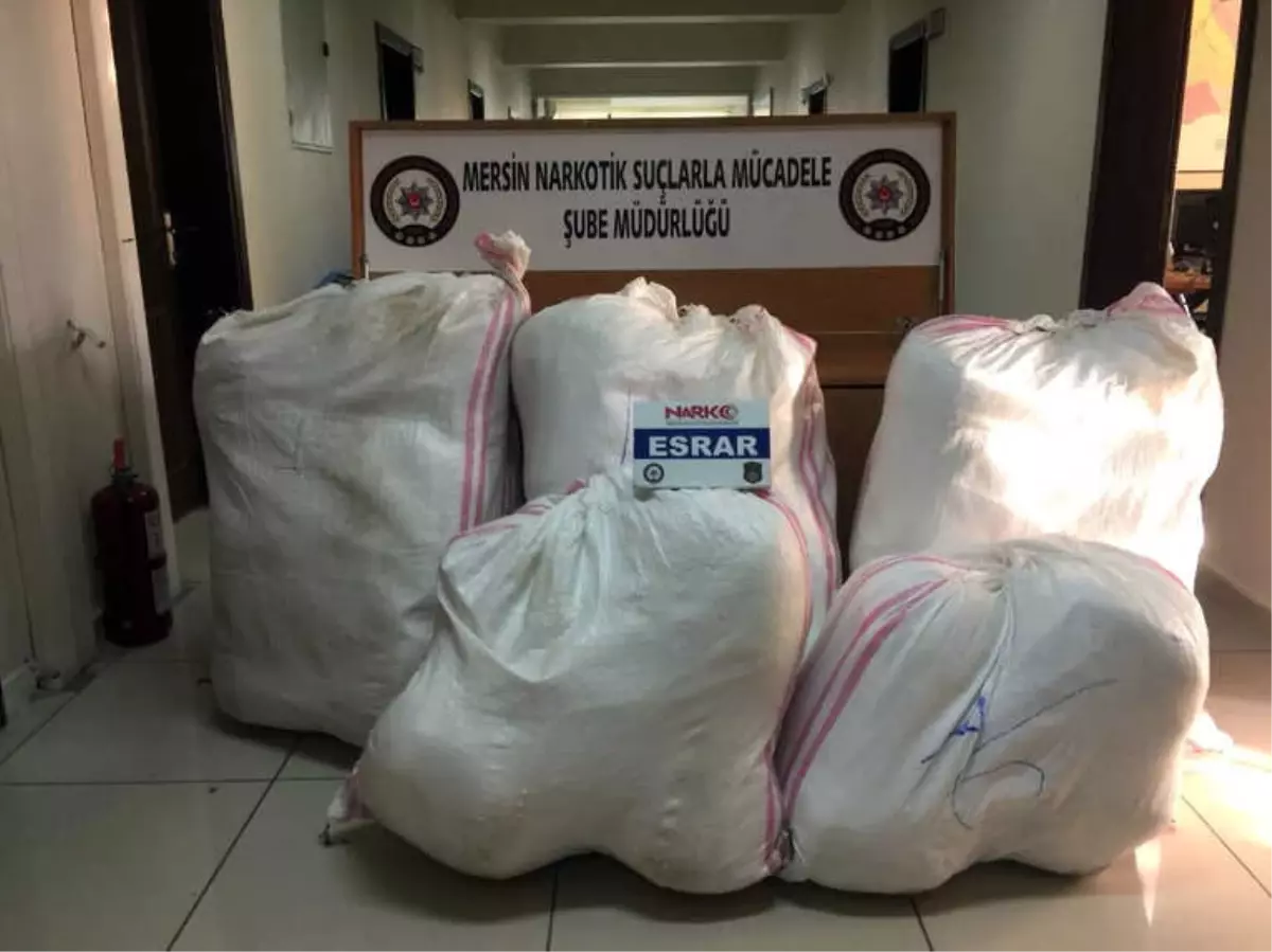 Şehit Mehmet Ayan' Operasyonunda 173 Kilo Esrar Ele Geçirildi