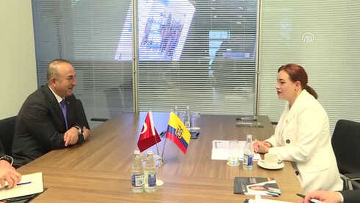 Dışişleri Bakanı Çavuşoğlu, Ekvatorlu Mevkidaşıyla Görüştü