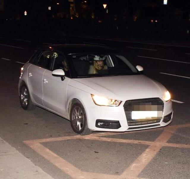 Selami Şahin'in Kızı İrem Şahin, Oyuncu Kemal Uçar'la Yakalandı