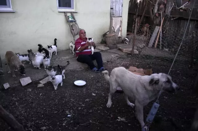 Emekli Maaşıyla 25 Kedi, 15 Köpek Besliyor Emekli Maaşıyla 25 Kedi, 15 Köpek Besliyor