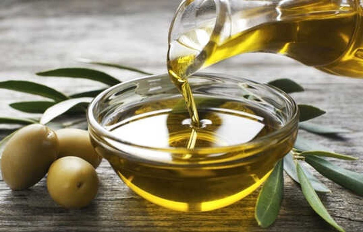 Manisa'da Zeytin İşletmelerine Tkdk Desteği