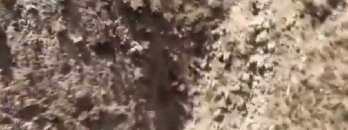 İran'da Düşen Jetin Karakutuları Paris'te Açıldı, Kazanın Esrarı 10 Gün İçinde Çözülecek