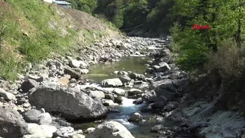 Giresun 'Kuş Dili' Kursu Açıldı
