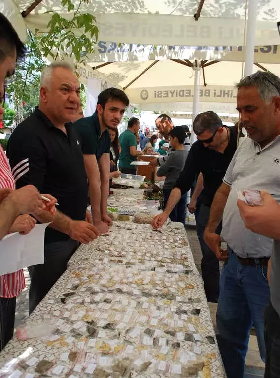 Binlerce Tohum, Manisa'da Takas Edildi Binlerce Tohum, Manisa'da Takas Edildi