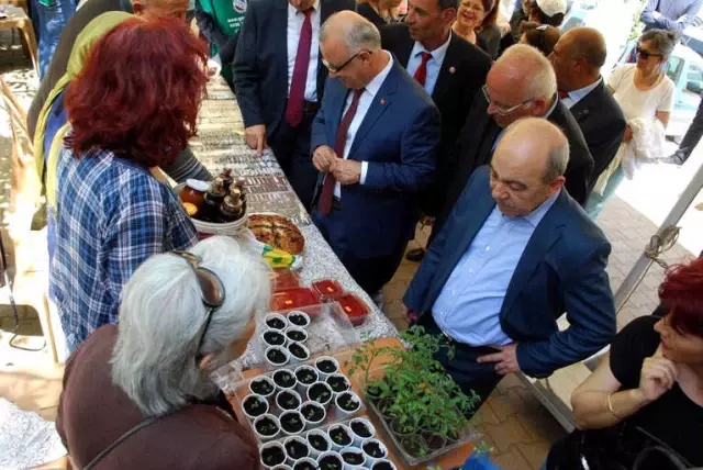 Binlerce Tohum, Manisa'da Takas Edildi Binlerce Tohum, Manisa'da Takas Edildi