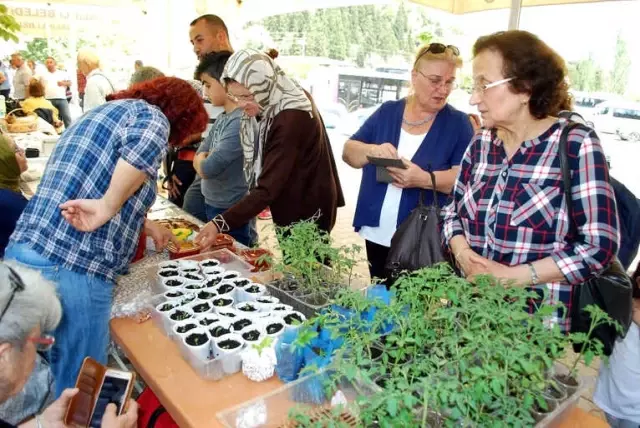 Binlerce Tohum, Manisa'da Takas Edildi Binlerce Tohum, Manisa'da Takas Edildi