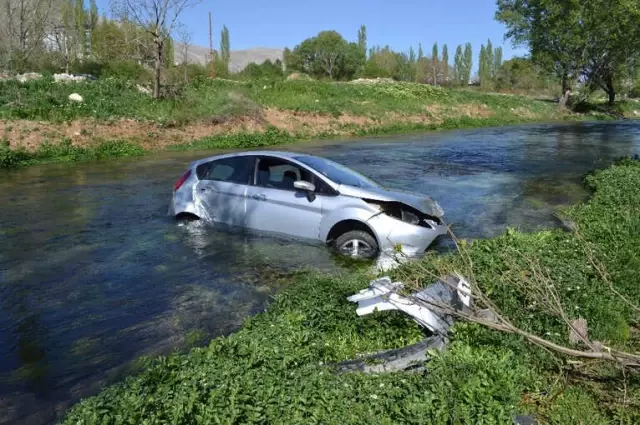 Ağaca Çarpan Otomobil Nehre Uçtu