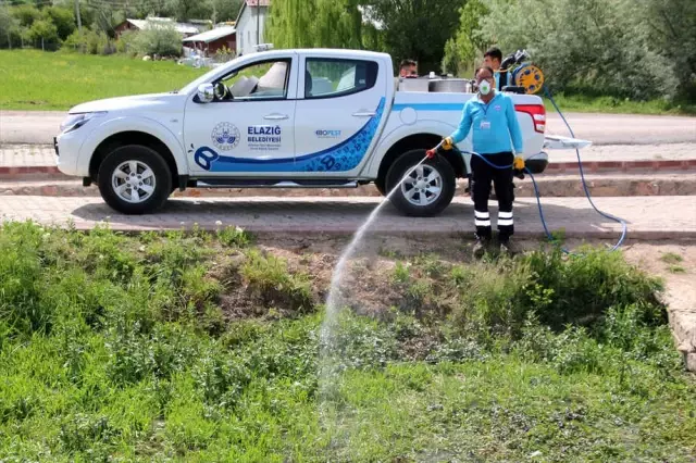 Elazığ'da Sinekle Mücadele Balatıldı