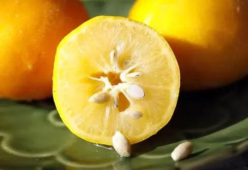 Limonun Vücudumuza Etkileri