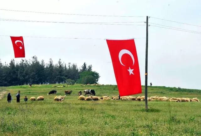 Sumbas'ta Mera Açılışı