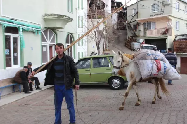 Akaryakıt Zamlarından Sonra At ve Eşekler Yeniden Kıymete Bindi