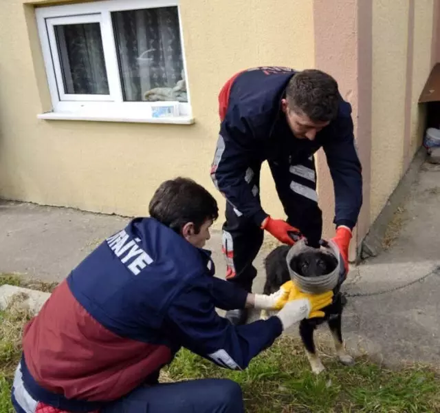 Başı Bidona Sıkışan Yavru Köpeğin Yardımına İtfaiye Yetişti