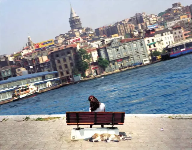 Devamlılık Hatası, Salt Beyoğlu'nda Gerçekleştiriliyor!