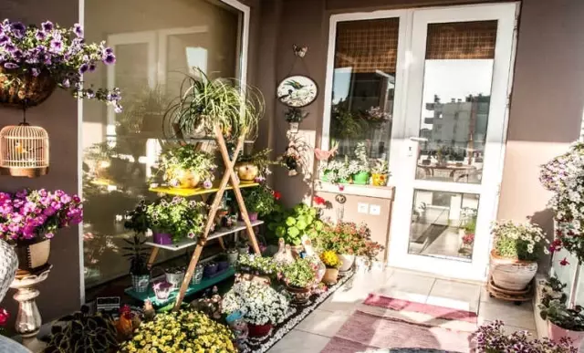 En Güzel Bahçe ve Balkon İçin Geri Sayım Başladı