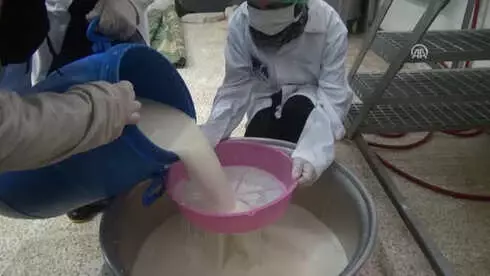 Savaş Mağduru Kadınlar Ailelerini 'Sütle' Geçindirecek Savaş Mağduru Kadınlar Ailelerini 'Sütle' Geçindirecek
